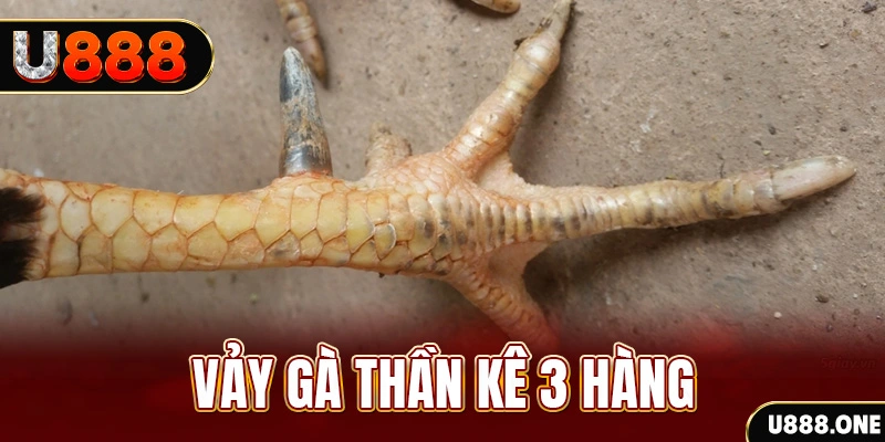 365ok nổ hũ đổi thưởng . ai