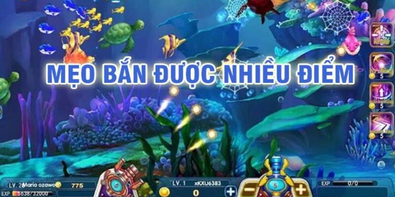 365ok đá gà