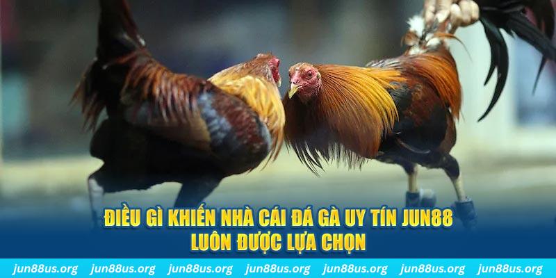 365ok bắn cá 30