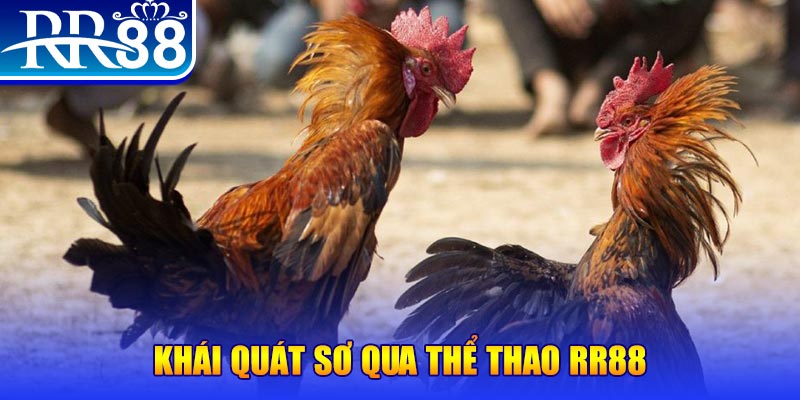 365ok baccarat bịp như thế nào