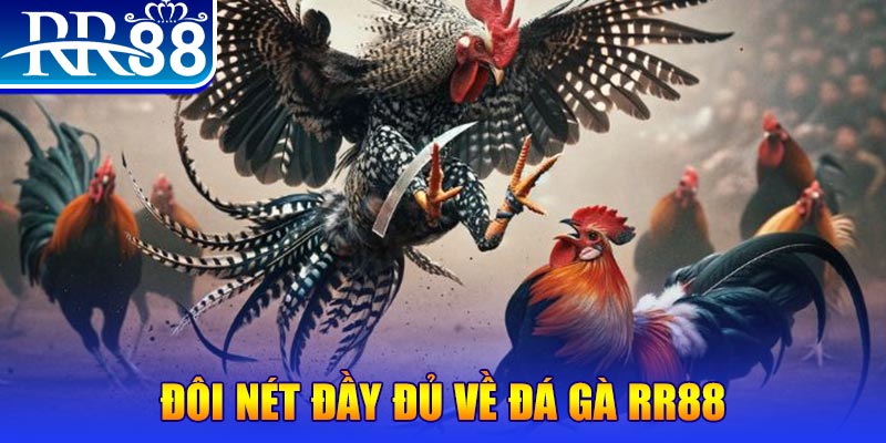 365ok 1 slot là gì