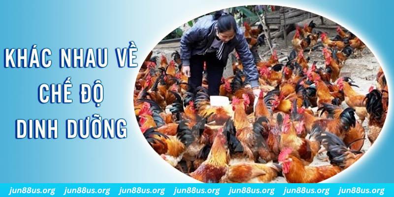 365ok xổ số thứ sáu hàng tuần