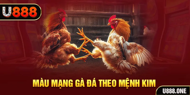 365ok gà chọi tiêu phong