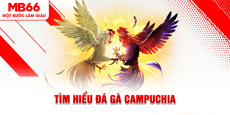 365ok tại sao không tải được nổ hũ