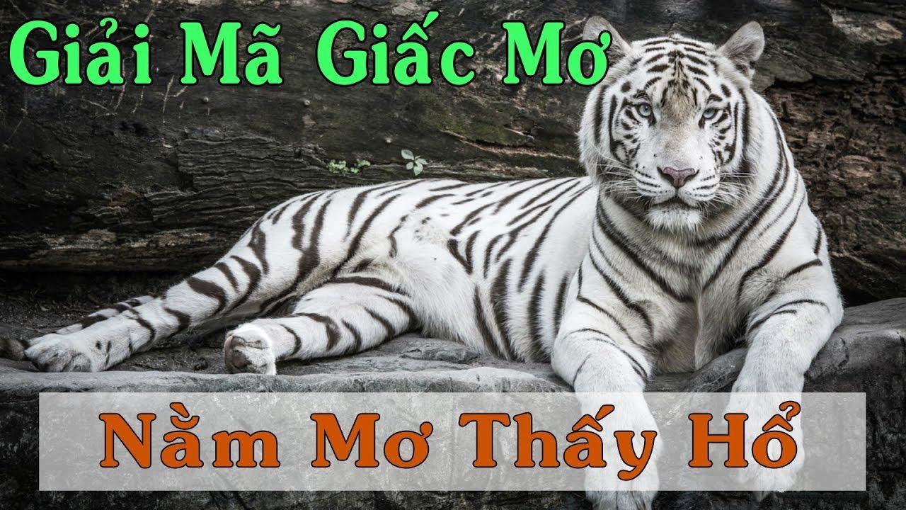365ok xổ số miền trung