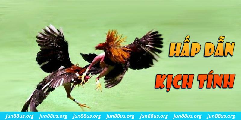 365ok bắn cá long vương