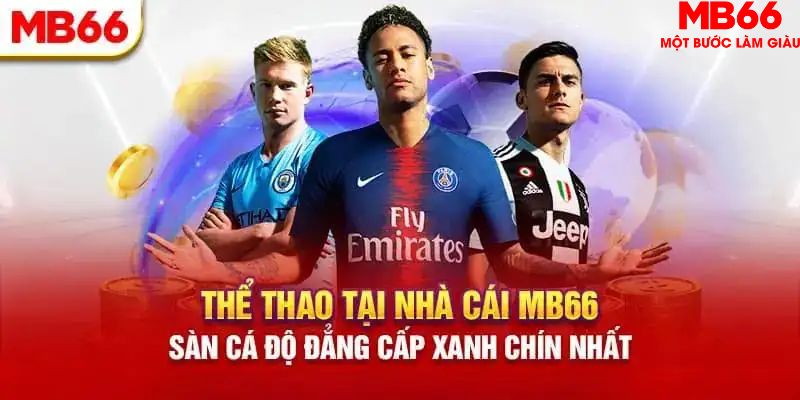 365ok HB Điện Tử
