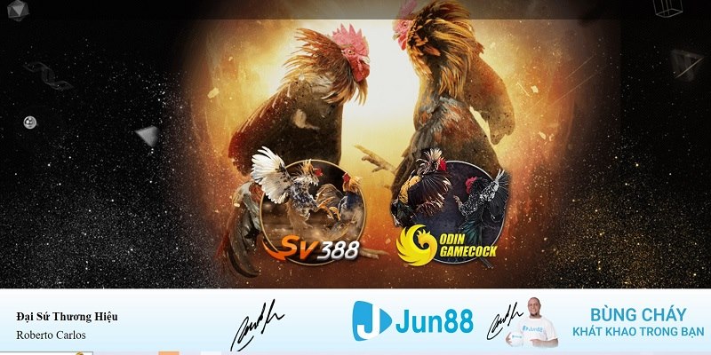 365ok xổ số miền nam hàng tuần