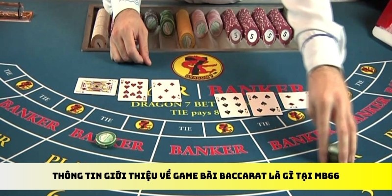 365ok xổ số trực tiếp miền bắc