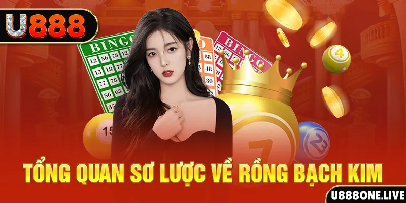 365ok how to win at slot machines