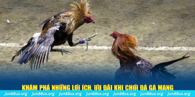 365ok Tài Xỉu 2