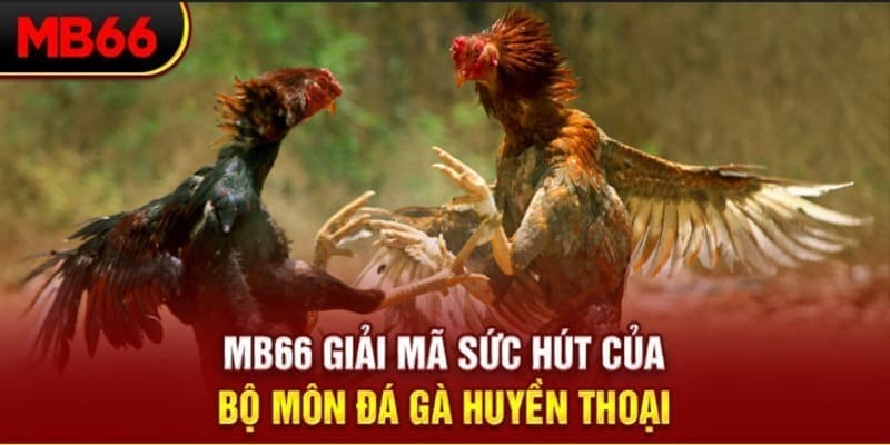 365ok long bảo trong baccarat là gì