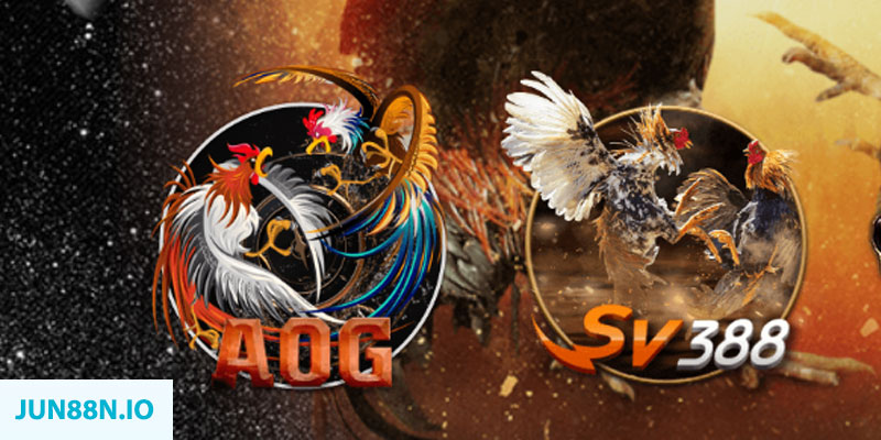 365ok xổ số miền trung chủ nhật hàng tuần