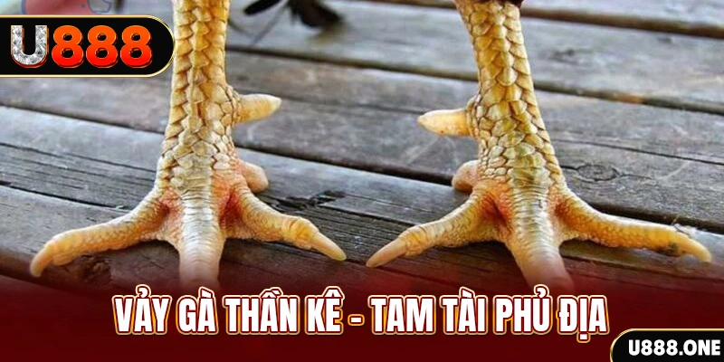 365ok xổ số 30 ngày