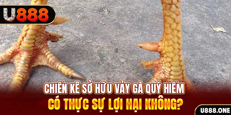 365ok game cá cược máy bay