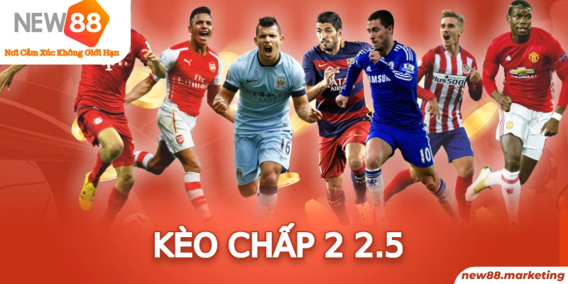 365ok trực tiếp đá gà thomo