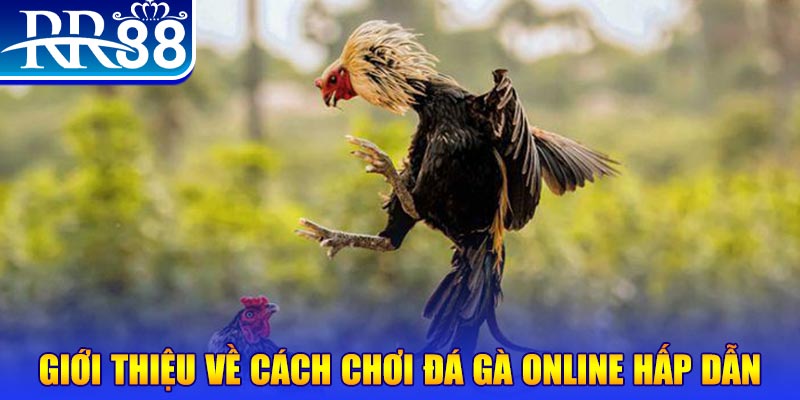 365ok nổ hũ 2 mặt là gì