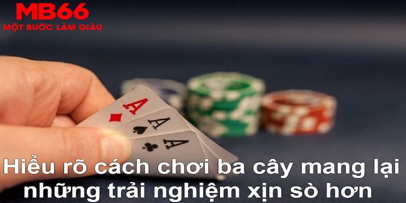 365ok xổ số quảng trị
