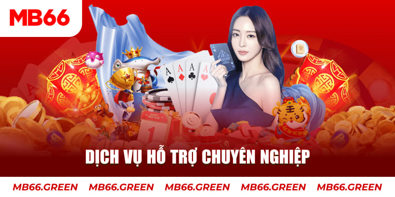 365ok gà chọi cậu thanh