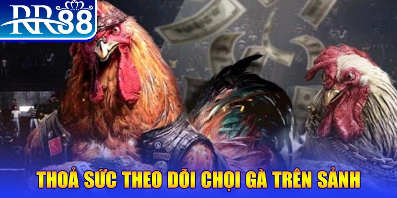 365ok NE Điện Tử