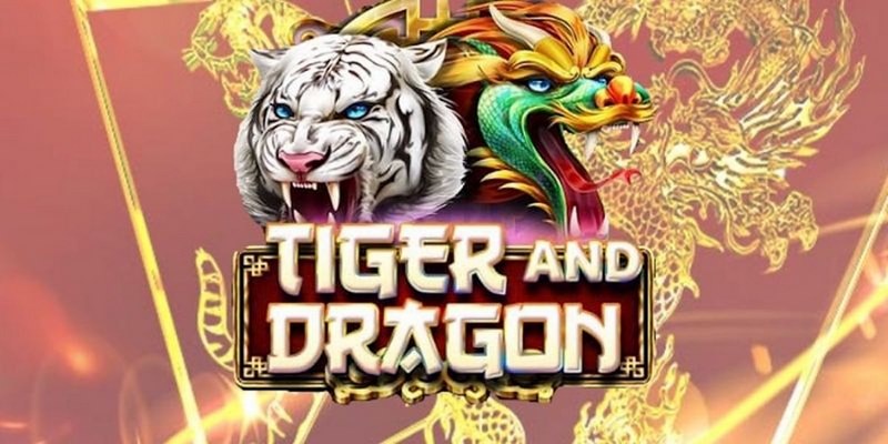 365ok cá cược tiếng anh là gì