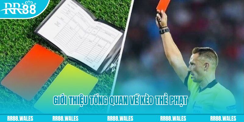 365ok đá gà trực tiếp c1