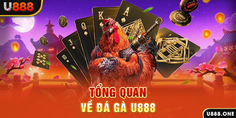 365ok what is casino bonus wagering