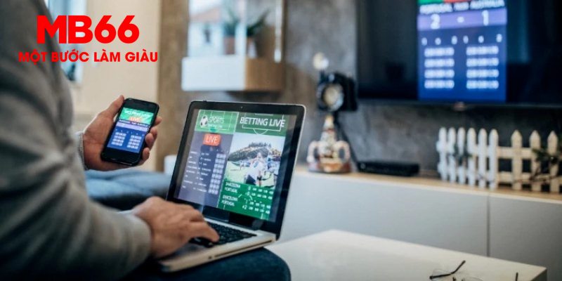 365ok MW Điện Tử